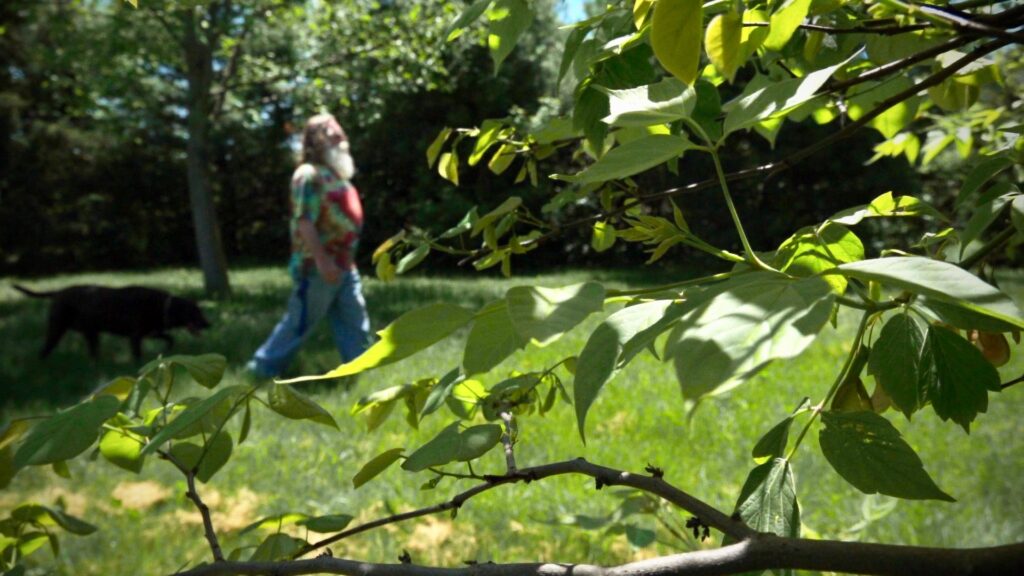Jack Kungel walking past a tree